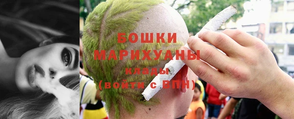 шишки Балабаново