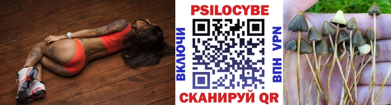 Псилоцибиновые грибы Cubensis  Купить  Миньяр 